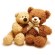 Stuffed Animals