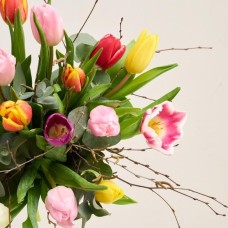 The colorful tulips (between)