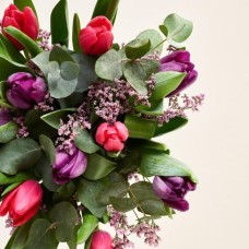 The violet tulips (between)