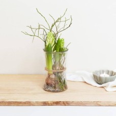 Hyacinths in glass vase, white (small)