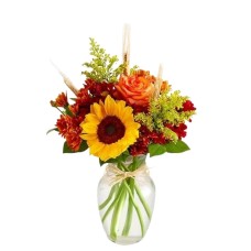 Fields of EuropeÂ® for Fall (Small)