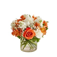 Sweet Citrusâ„¢ Bouquet (Small)