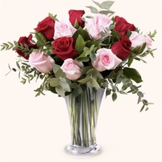 12 Pink And Red Roses !
