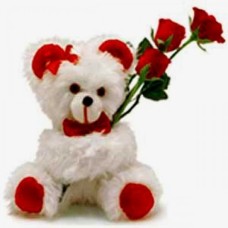 A Sweetie Teddy !!