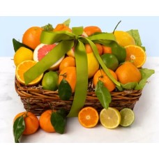 Ultimate Citrus Fruit Basket Basket