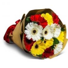 12 Mixed Gerberas Bouquet