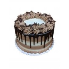 Tiramisu Dessert Cake