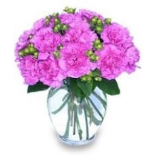 12 Pink And Purple Carnations Vase