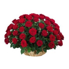 50 Red Roses Basket