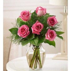 6 Pink Roses Vase
