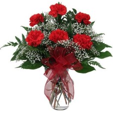 6 Red Carnations Vase