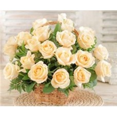 24 Cream Roses Basket