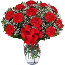 12 Red Carnations Vase