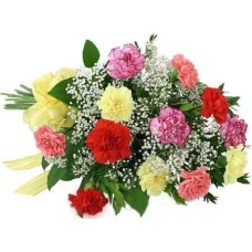 12 Mixed Carnations Bouquet
