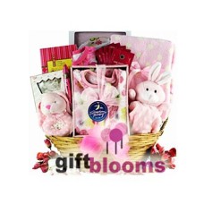 Sweet Arrival Baby Girl Gift Basket