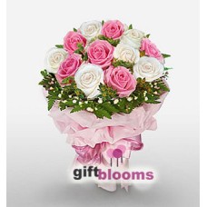 One Dozen Pink and White Rose to Macau