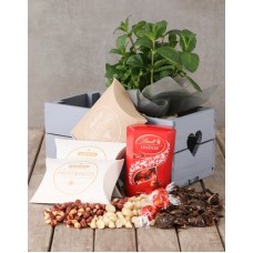 Herb with Lindt and Gourmet Treats Crate