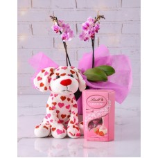 Adorable Orchid Combo