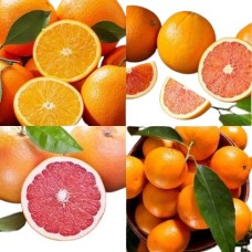 Desert Citrus Medley (Small)