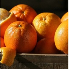Malibu Navel Oranges