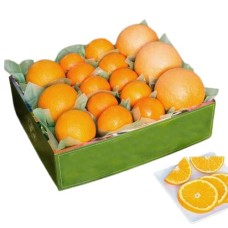 Citrus Medley Gift Box