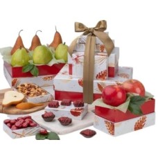 Winter Fruit Tower
