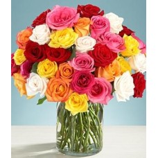 THREE DOZEN ASSORTED ROSES