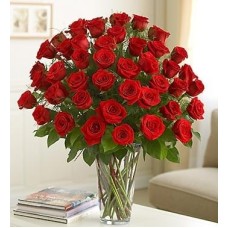 THREE DOZEN RED ROSES