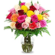 TWO DOZEN ASSORTED ROSES