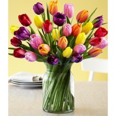 30 MIXED TULIPS