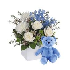 It's a Boy with Teddy (Classic)