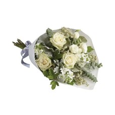 Abelia (Classic)