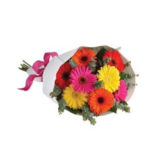 Gerbera Brights (Classic)