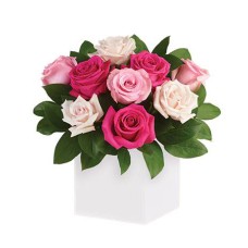 Blushing Roses