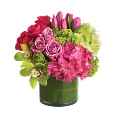 Floral Fantasy (Classic)