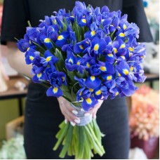 Bouquet,of,flowers,Blue,irises