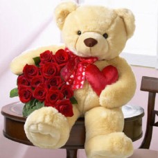 Shy Teddy