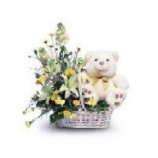 Welcome Baby (Unisex Colorsus)