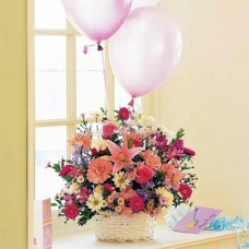 Birthday Surprise!!! (Medium)