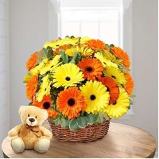 Special Gift Basket (24 Gerberas Daisies)