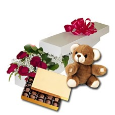 Lovely Day (24 Roses + Teddy Bear24)
