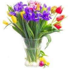 Spring Inspiration - 27 Tulips & Irises Bouquet (regular - fresh quality flowers)