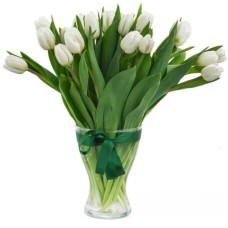 17 Tender Tulips Bouquet - Fresh Spring Flowers (regular - fresh, quality flowers)