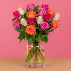 Blushing Rose