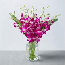 Purple Orchids Vase (12 Orchids)