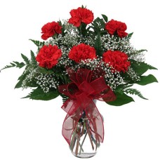 Red Carnation Vase (24 Flower)