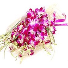 Lovely Orchids and  Glads (6 Orchids & 6 Glads)