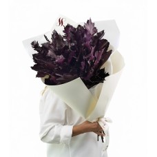 Velours Violet