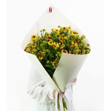 Countryside