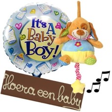Baby Fun For Boy (Large)